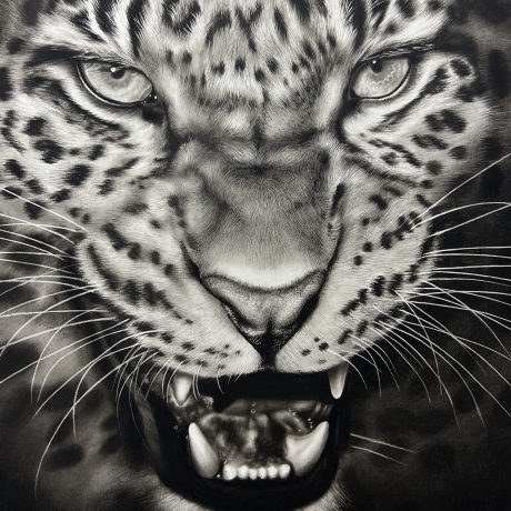 Now-You-See-Me-IV_Rachel-Stubbs-Art